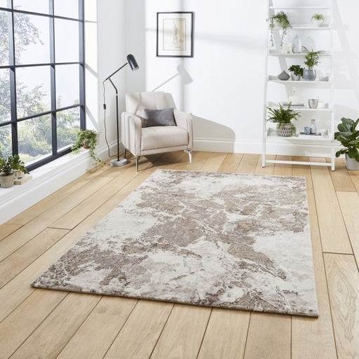 Florence 50033 Beige/Silver Rug