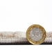 Florence 50034 Beige/Silver Rug