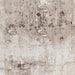 Florence 50034 Beige/Silver Rug