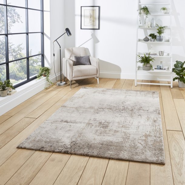 Florence 50034 Beige/Silver Rug