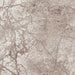 Florence 50035 Beige Rug