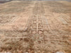 Handknotted Vintage Rug 376cm x 266cm Pastel Design