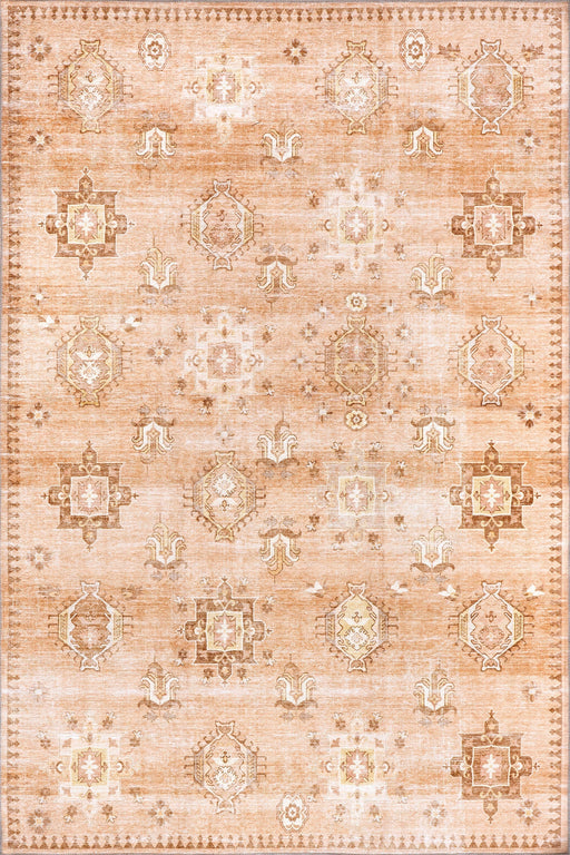 Hazy Heraldry Washable Peach Rug For Home Décor