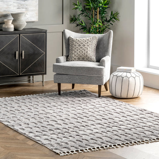 Honeycomb Tasseled Area Rug 160x230cm Grey