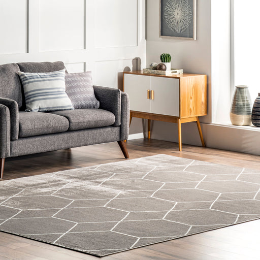 Honeycomb Trellis Area Rug Grey 160x230 cm