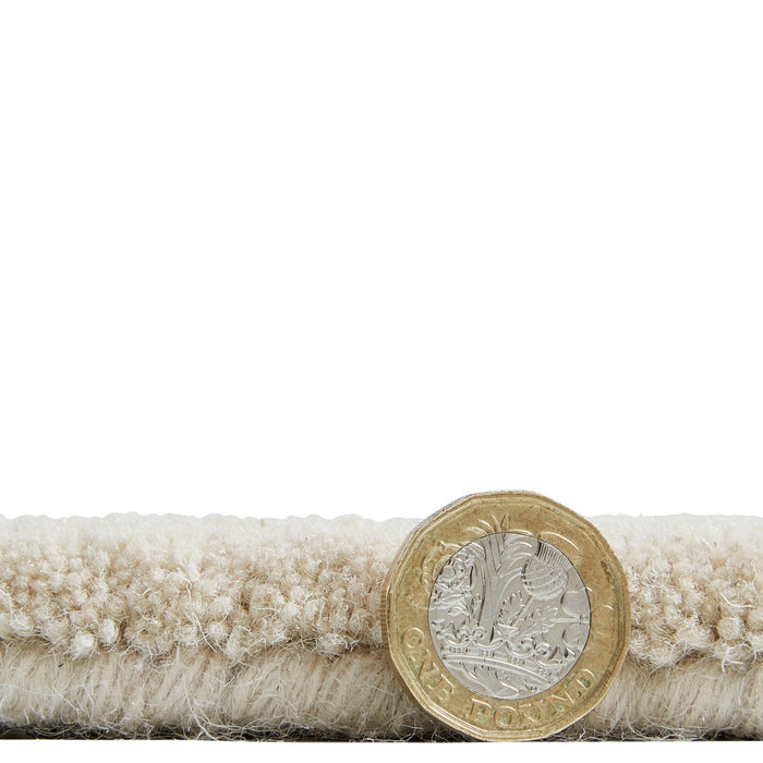 Inaluxe Drift IX13 Rug