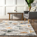 Iridescent Light Grey Area Rug for Home Decor