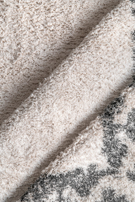 Ivory Tassel Flatweave Area Rug with Diamond Border