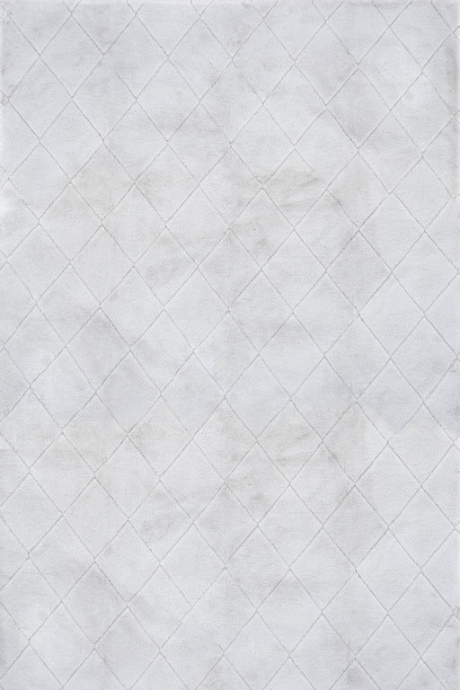 Jaylene Washable Silver Plush Cloud Area Rug