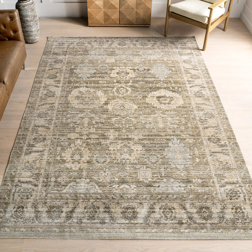 Kailani Washable Indoor Outdoor Area Rug Light Grey