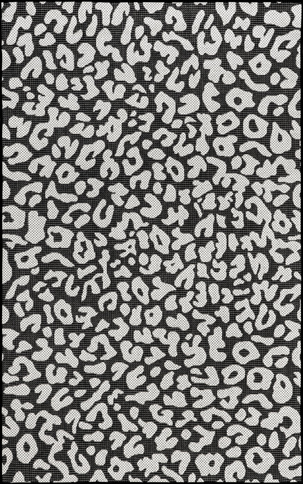 Leopard Print Indoor Outdoor Area Rug 150cm Black