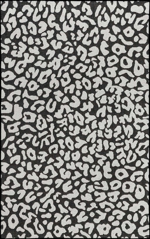 Leopard Print Indoor Outdoor Area Rug 150cm Black