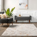 Light Grey Abstract Distressed Area Rug 5x7 cm