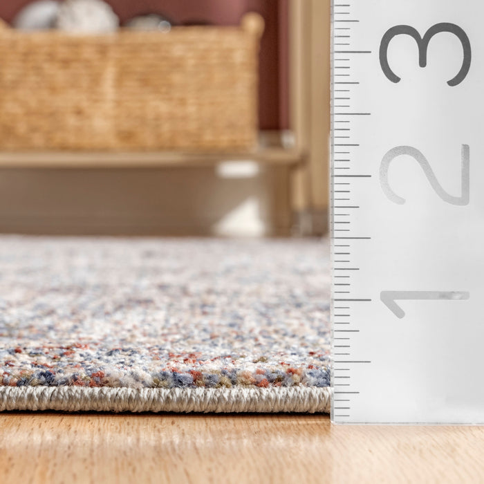 Light Grey Area Rug With Lush Texture And Durable Design