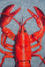 Louis De Poortere Pop Lobster 9389 Rug