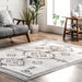 Machine Washable Light Grey Rug for Home Decor