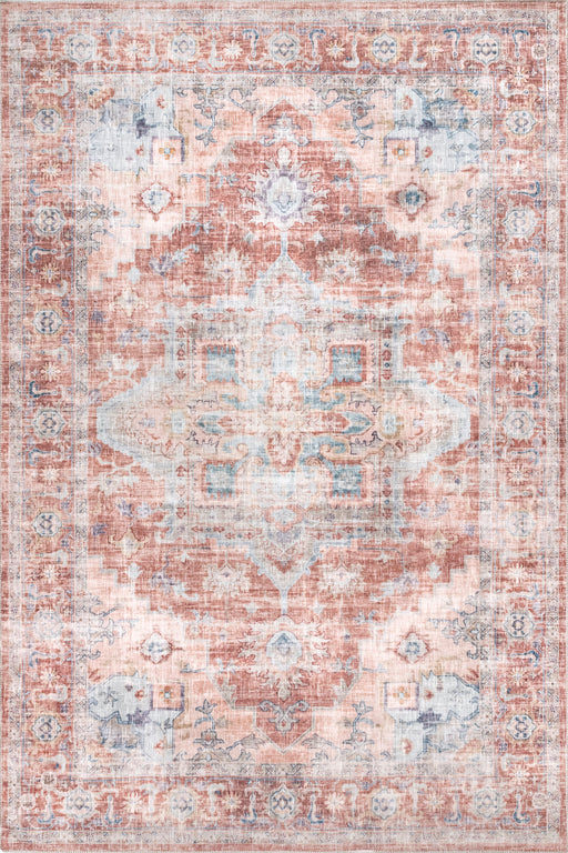 Machine Washable Vintage Area Rug in Brick Color