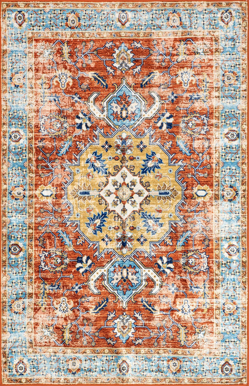 Machine Washable Vintage Area Rug in Rust Color