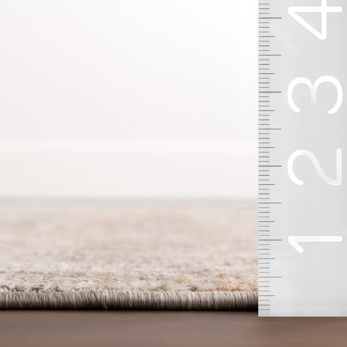 Madalyn Taupe Vintage Area Rug 160x230 cm