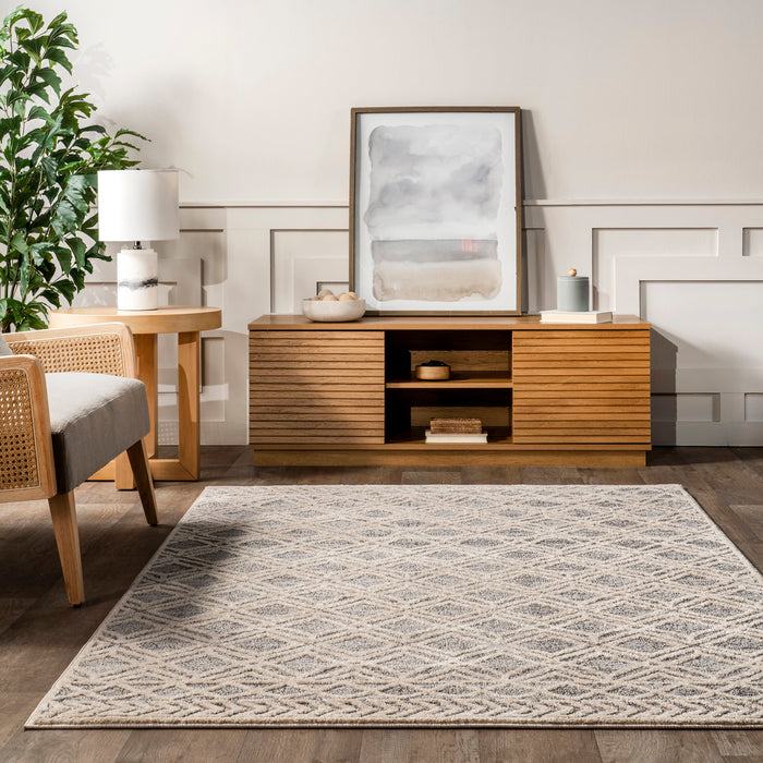 Moroccan Trellis Area Rug In Grey For Home Decor