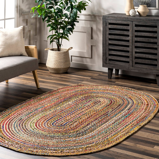 Multicolor Braided Jute Area Rug for Home Decor