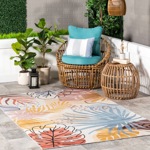 Multicolor Washable Indoor Outdoor Rug for Home