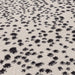 Muse Black Spotty Rug MU11