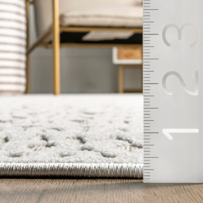 Myra Trellis Textured Grey Area Rug For Indoor Outdoor Use