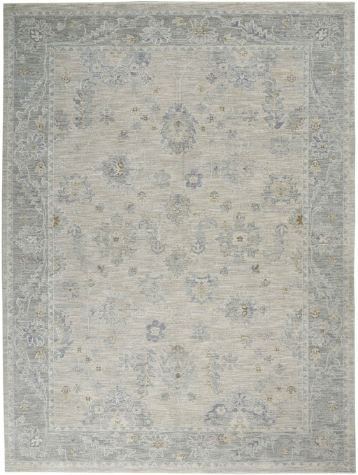 Nourison Infinite IFT03 Light Grey Rug