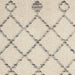 Nourison Palermo PMR03 Beige / Grey Rug