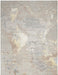 Nourison Silk Shadows SHA20 Silver Rug