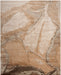 Nourison Silk Shadows SHA24 Beige Silver Rug