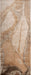 Nourison Silk Shadows SHA24 Beige Silver Runner Rug
