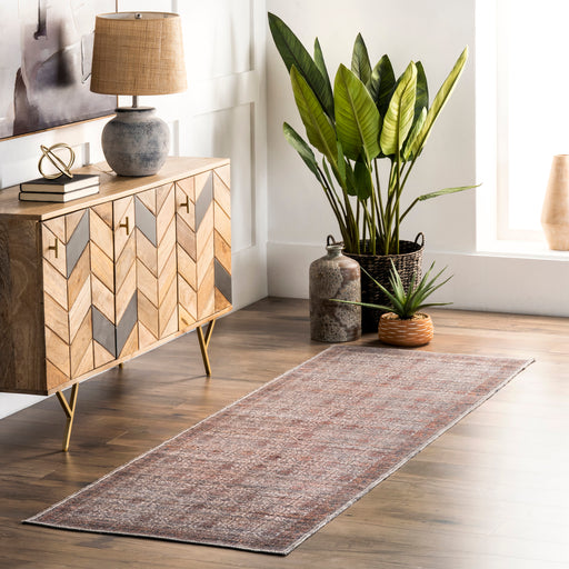 Oriental Washable Area Rug in Rust for Home Decor