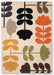 Orla Kiely Cut Stem Multi 61405 Rug