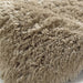 Polar Beige Rug