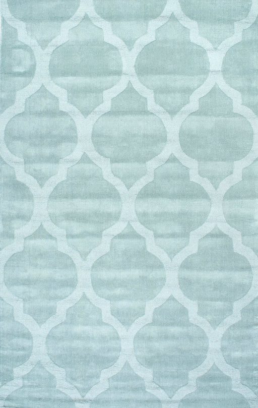 Raised Trellis Area Rug in Moss for Cozy Living Spaces