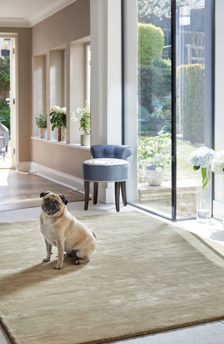 Rug Guru Orient Oyster Rug