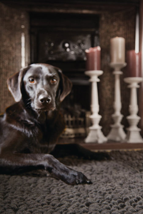 Rug Guru Union Fossil Rug