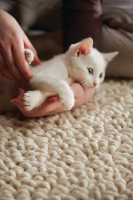 Rug Guru Union Ivory Rug