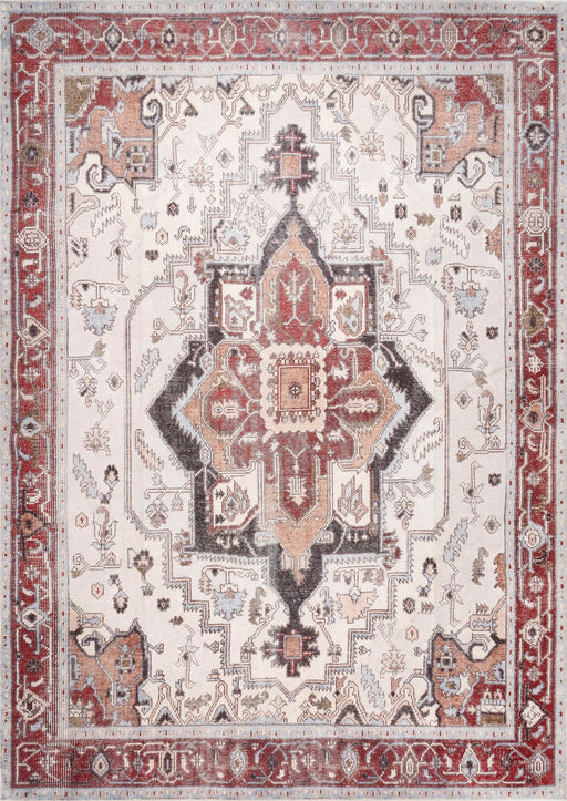 Rust Washable Area Rug for Busy Homes with Kids and Pets