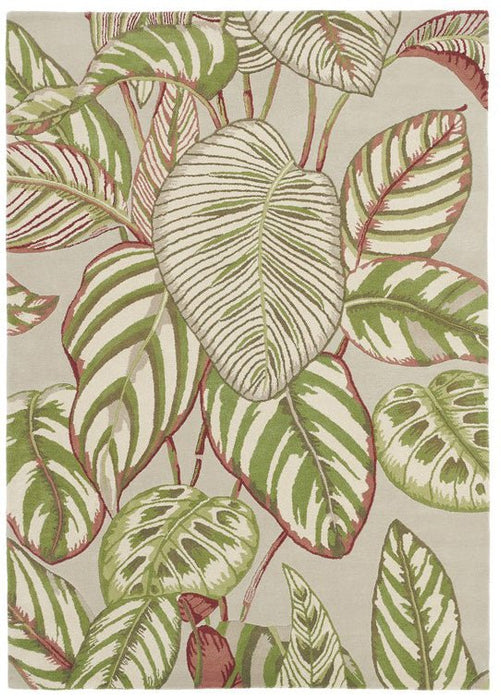 Sanderson Calathea 50807 Oliventeppe