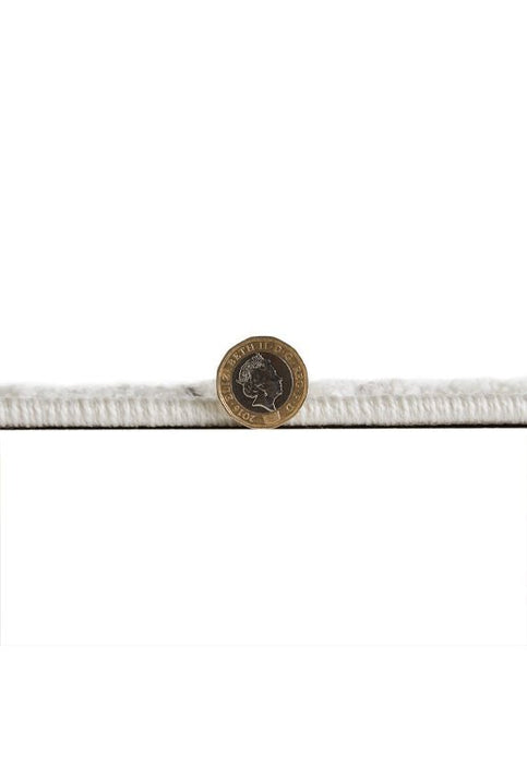 Sanford 8322W Rug