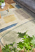 Scion Composition Papaya 023706 Rug
