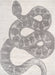 Serpent Pattern Area Rug 160x230 cm Light Grey