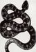 Serpent Pattern Area Rug Black And Off White 160x230 cm