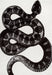 Serpent Pattern Area Rug Black and Off White 160x230 cm