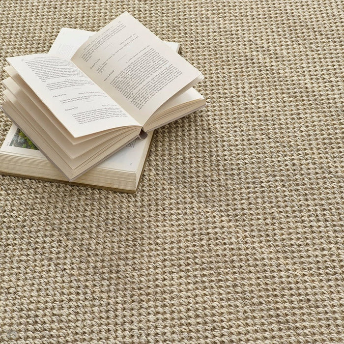 Sisal Border Plain Hand-Woven Textured Natural Fibre Flatweave Light Beige/Sand Border Rug