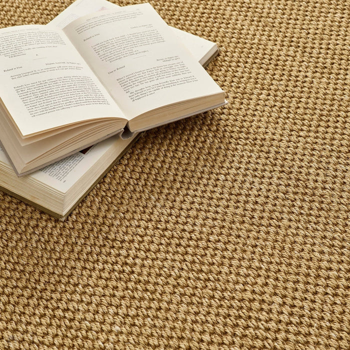 Sisal Border Plain Hand-Woven Textured Natural Fibre Flatweave Warm Natural/Dark Brown Border Rug