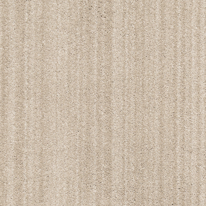 Sparrow Custom Area Rug Light Brown 60cm x 90cm